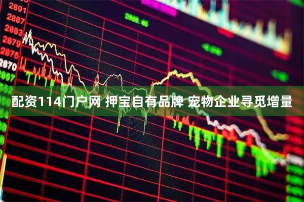 配资114门户网 押宝自有品牌 宠物企业寻觅增量
