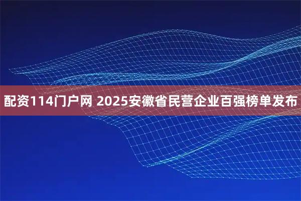 配资114门户网 2025安徽省民营企业百强榜单发布