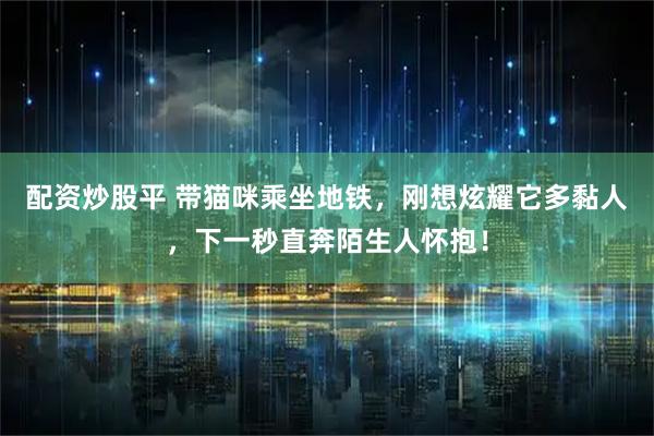 配资炒股平 带猫咪乘坐地铁，刚想炫耀它多黏人，下一秒直奔陌生人怀抱！